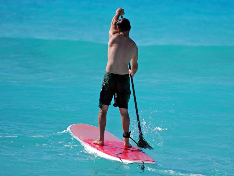 Paddle et plongée